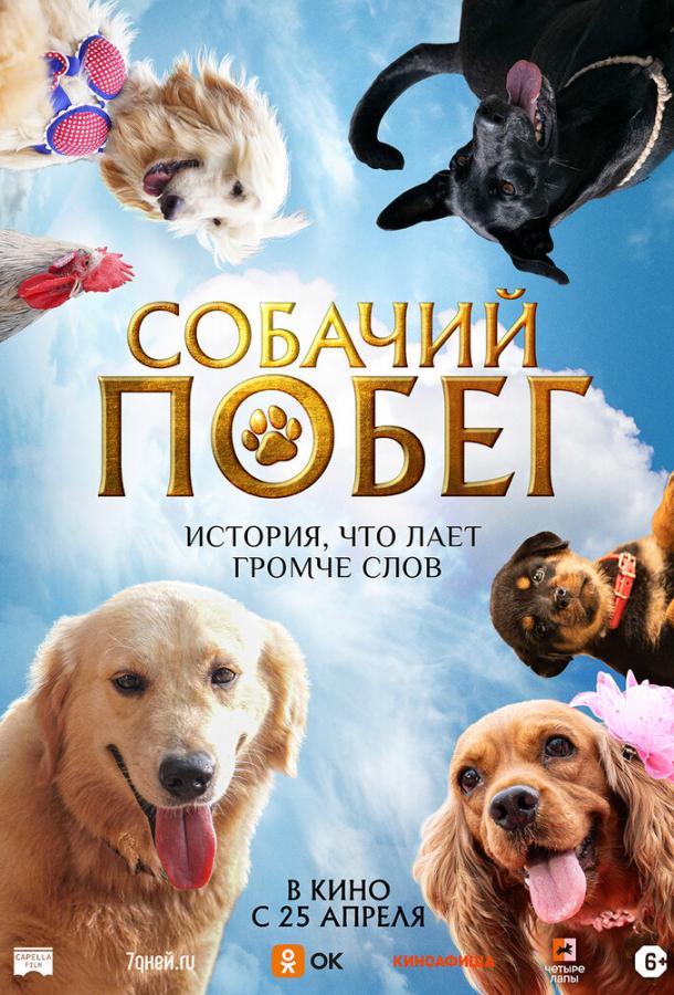 Фильм Собачий побег (2023) смотреть онлайн в качестве FHD